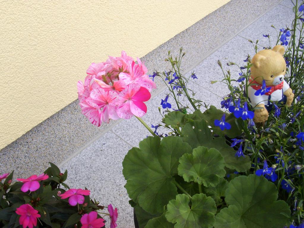 לינה וארוחת בוקר שטרובל Haus Amalia מראה חיצוני תמונה